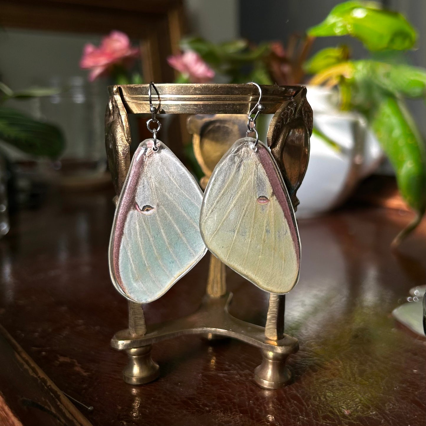 Luna Moth (Forewings)